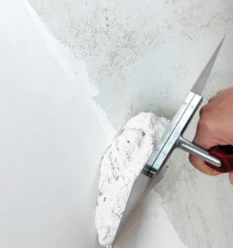 Wall Putty