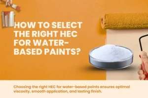How to Select the Right HEC for Water Based Paints