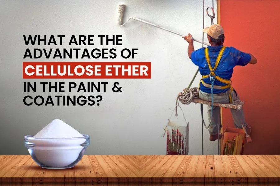 Advantages of cellulose ether in the Paint & Coatings